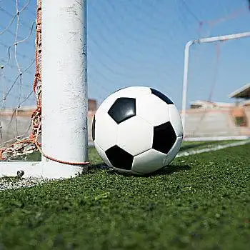 足球赛事组织者场景